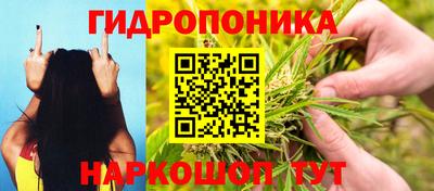 амф Будённовск